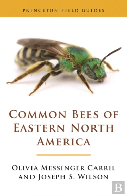 Bertrand.pt - Common Bees Of Eastern North America
