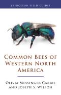 Common Bees Of Western North America