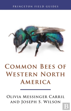 Bertrand.pt - Common Bees Of Western North America