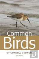 Common Birds Of Coastal Georgia