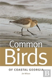 Common Birds Of Coastal Georgia