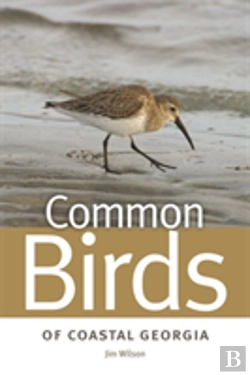 Bertrand.pt - Common Birds Of Coastal Georgia