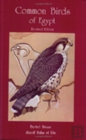 Common Birds Of Egypt