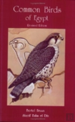 Bertrand.pt - Common Birds Of Egypt