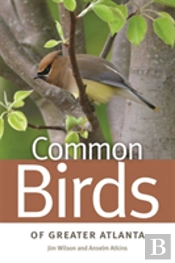 Common Birds Of Greater Atlanta