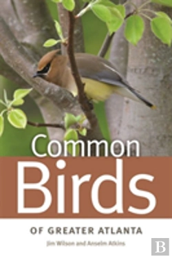 Bertrand.pt - Common Birds Of Greater Atlanta