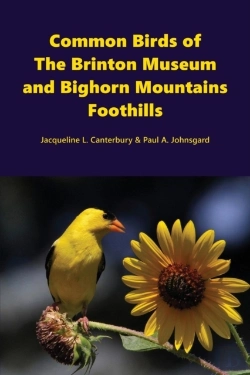 Bertrand.pt - Common Birds Of The Brinton Museum And Bighorn Mountains Foothills