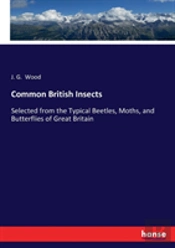 Common British Insects
