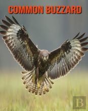 Common Buzzard
