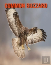 Common Buzzard