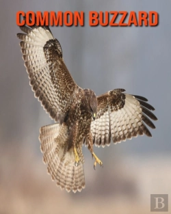 Bertrand.pt - Common Buzzard