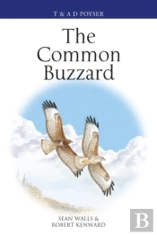 Common Buzzard