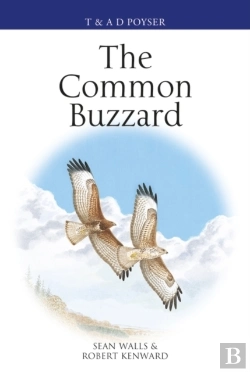 Bertrand.pt - Common Buzzard