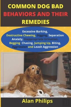Bertrand.pt - Common Dog Bad Behaviours And Their Remedies