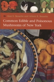 Common Edible And Poisonous Mushrooms Of New York