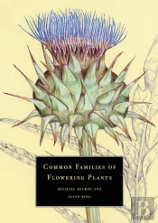 Common Families Of Flowering Plants
