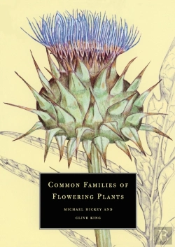 Bertrand.pt - Common Families Of Flowering Plants