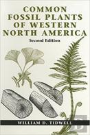 Common Fossil Plants Of Western North America