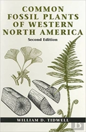Common Fossil Plants Of Western North America