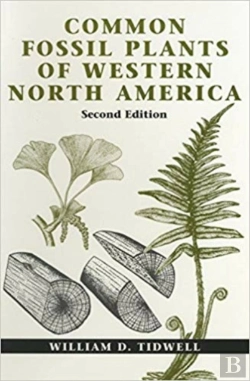 Bertrand.pt - Common Fossil Plants Of Western North America
