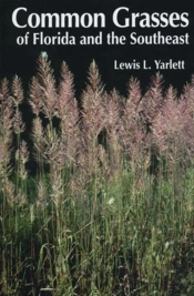Common Grasses Of Florida & The Southeast