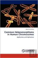Common Heteromorphisms In Human Chromosomes