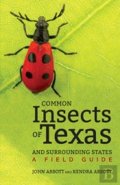 Common Insects Of Texas And Surrounding States