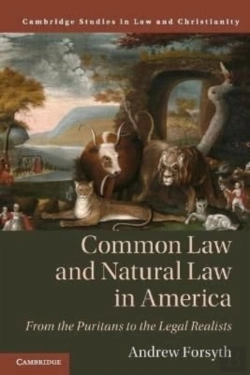 Bertrand.pt - Common Law And Natural Law In America