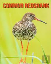 Common Redshank
