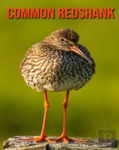 Common Redshank