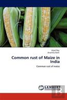 Common Rust Of Maize In India