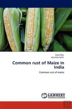 Bertrand.pt - Common Rust Of Maize In India