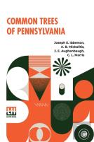 Common Trees Of Pennsylvania