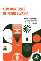 Common Trees Of Pennsylvania