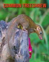 Common Treeshrew