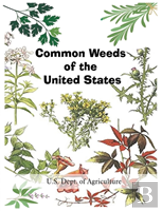 Common Weeds Of The United States