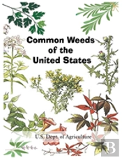 Common Weeds Of The United States