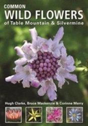 Common Wild Flowers Of  Table Mountain & Silvermine