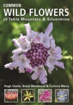Bertrand.pt - Common Wild Flowers Of  Table Mountain & Silvermine