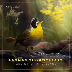 Bertrand.pt - Common Yellowthroat And Other Bird Songs
