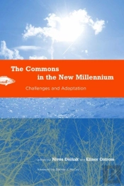 Commons In The New Millennium