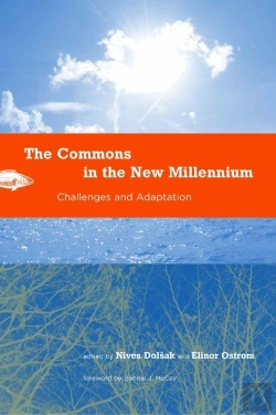 Bertrand.pt - Commons In The New Millennium