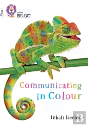 Communicating In Colour