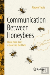Communication Between Honeybees