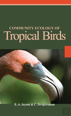 Bertrand.pt - Community Ecology Of Tropical Birds