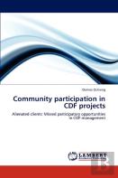 Community Participation In Cdf Projects