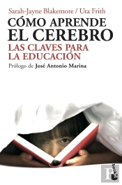 Cómo Aprende El Cerebro