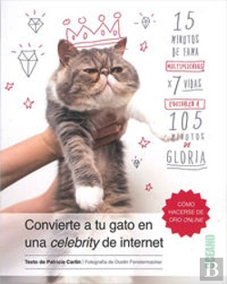 Bertrand.pt - Cómo Convertirtu Gato En Una Celebrity De Internet