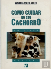 Como Cuidar Do Seu Cachorro