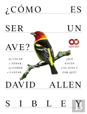 Como Es Ser Un Ave De Volar A Anidar De Comer A Cantar... Q